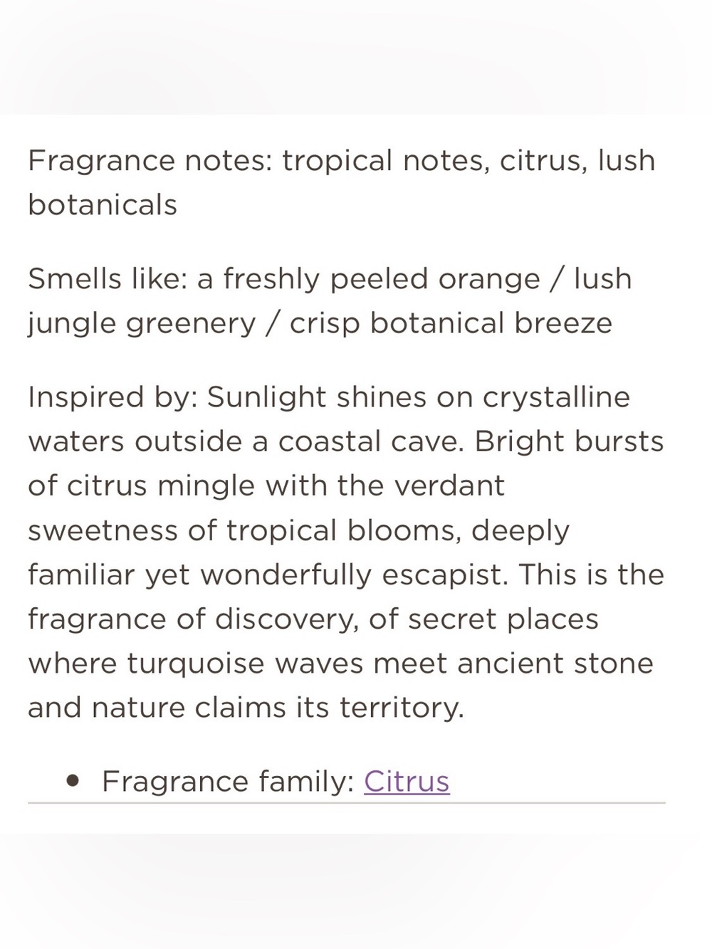 Scentsy Blue Grotto Fragrance Flower - Buttercup Belle - Picture 6 of 6